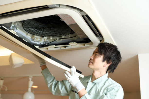 Best Air Duct Cleaning Company Near Me  in Linden, AZ