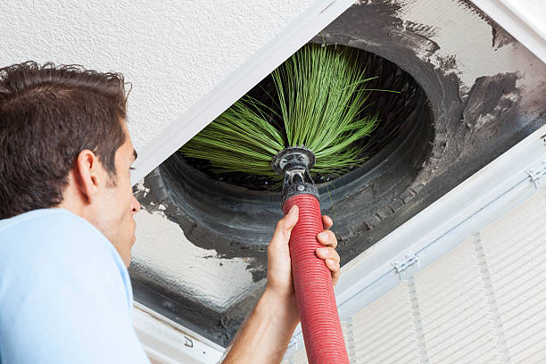 Best Duct Cleaning Specialists  in Linden, AZ